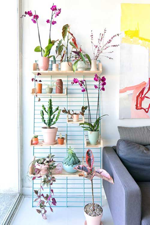jardim suspenso orquidea outras plantas sala de estar com jardim suspenso de orquideas