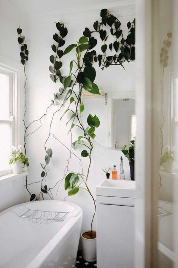As plantas vão ficar muito bem até num banheiro pequeno, e tornar o ambiente mais relaxante