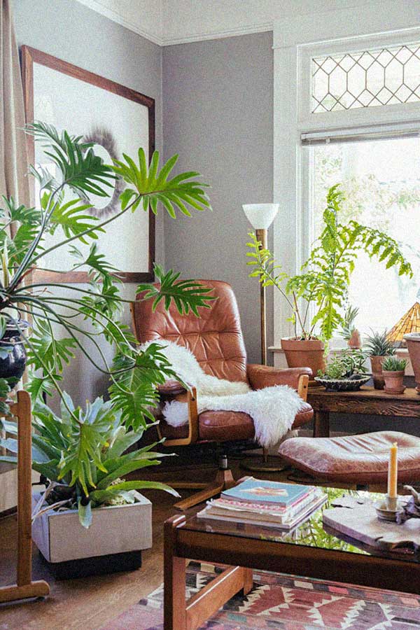 sala com plantas