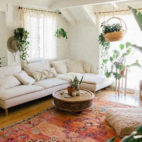 sala plantas