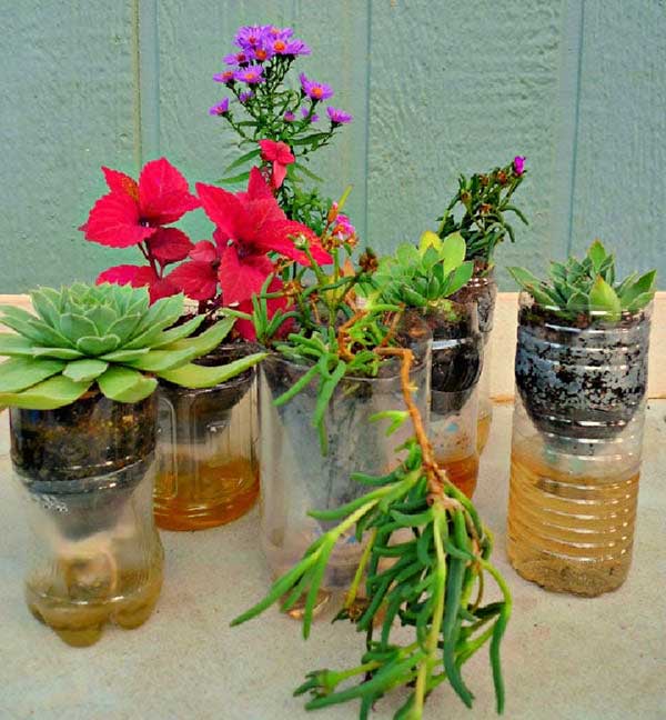 faca voce mesmo Opções para jardins compactos.