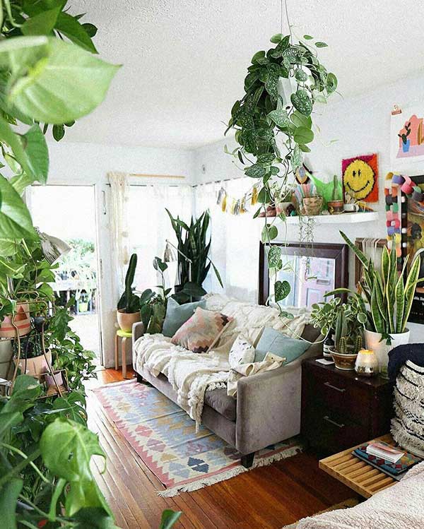 sala plantas capa
