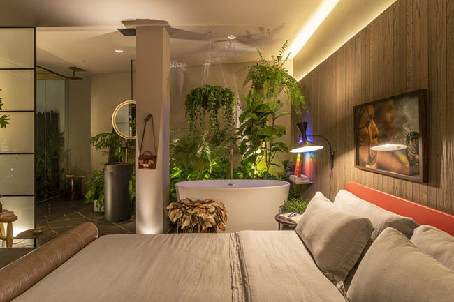 Plantas resistentes ao frio para sala de estar Plantas resistentes ao frio para sala de estar