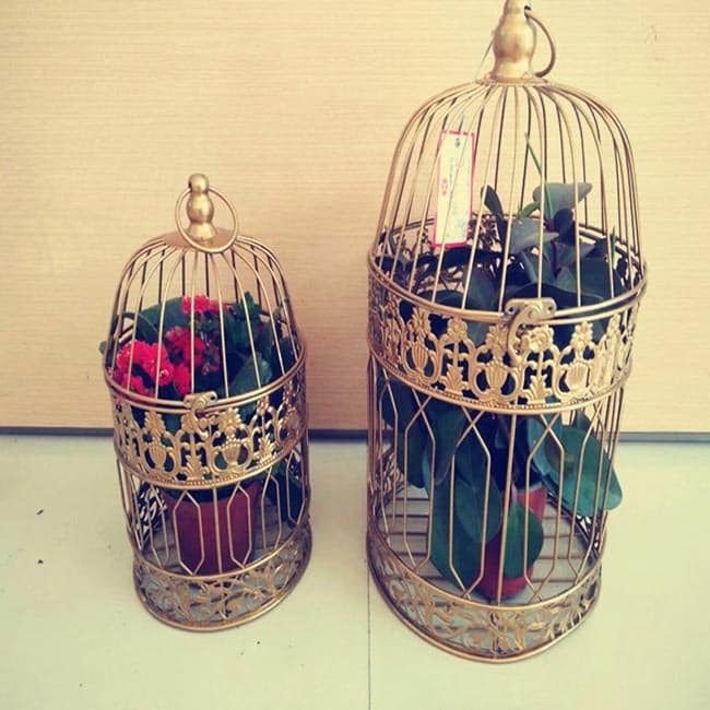 Feitas de Ferro 1 Com vasos de plantas.