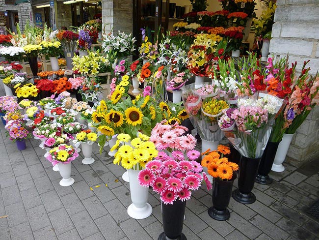 Marketing e Branding para Floriculturistas