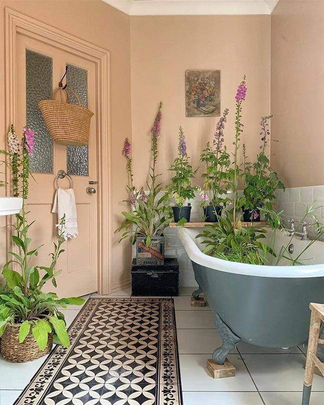 banheiro cottagecore 2 Inspiração com plantas.