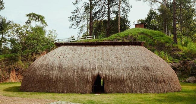 vernacular vernacular