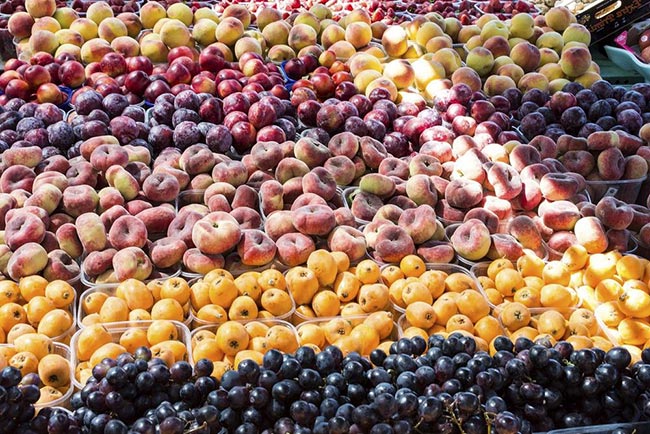 Frutaria 7 Frutaria 7