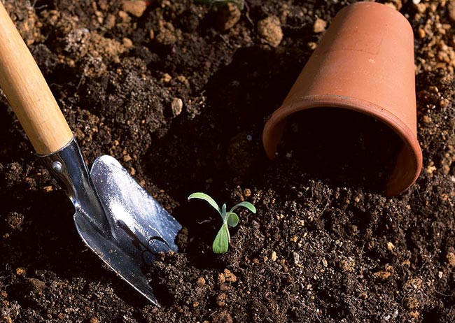 como fertilizar o solo como fertilizar o solo