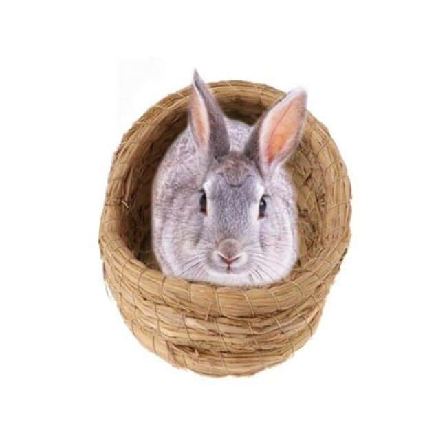 casinha artesanal para hamster 1 casinha artesanal para hamster 1
