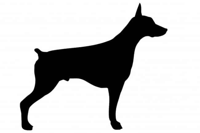 vetor do dog vetor do dog
