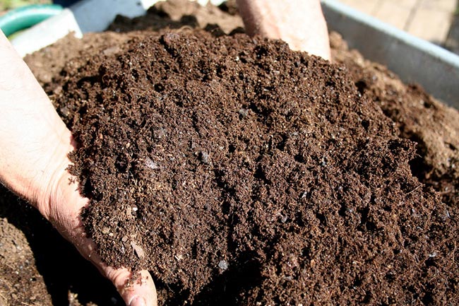 Imagens de fertilizante caseiro 1 Imagens de fertilizante caseiro 1