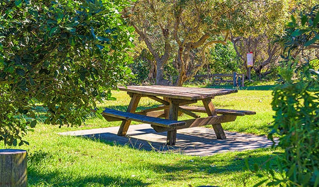 Mesa de piquenique Mesa de piquenique