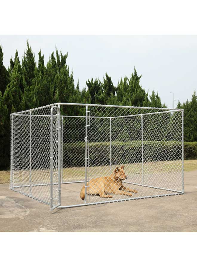 Dicas de canil para cachorro Dicas de canil para cachorro