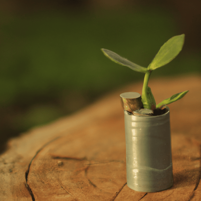 Fotos Qual e o Significado de Sustentabilidade2