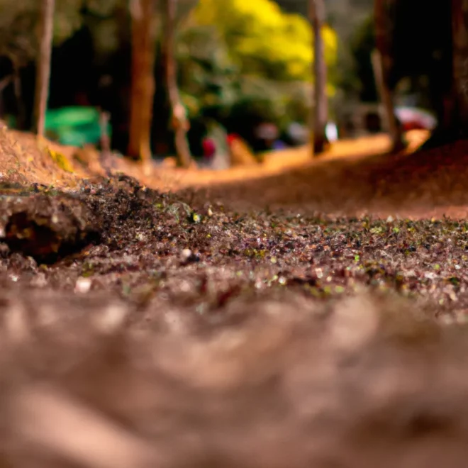 Fotos Arte do Fotografia de Paisagem scaled