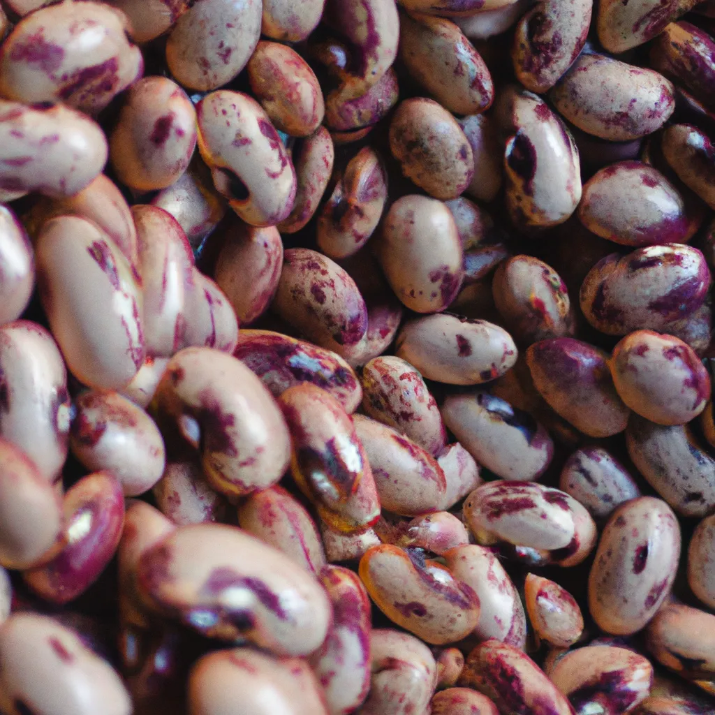 Dicas Phaseolus vulgaris Feijao Dicas Phaseolus vulgaris Feijao